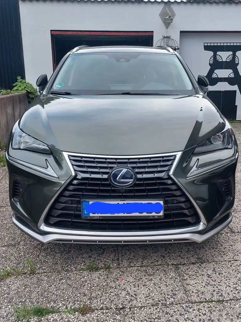 Lexus NX 300h NX 300 Executive Line Grün - 1