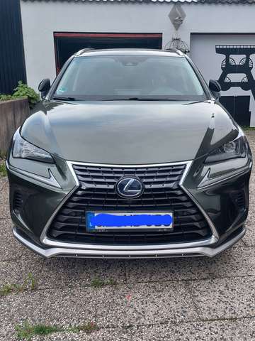 Imagine Lexus NX 300h NX 300 Executive Line