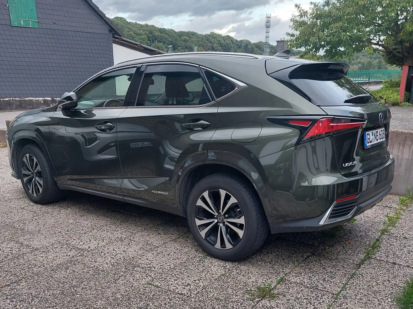 Lexus NX 300h NX 300 Executive Line Grün - 2