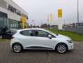 Renault Clio 0.9 tce energy Business Gpl 90cv PRONTA CONSEGNA Weiß - thumbnail 3