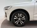 Volvo XC60 Momentum Pro AWD Weiß - thumbnail 14