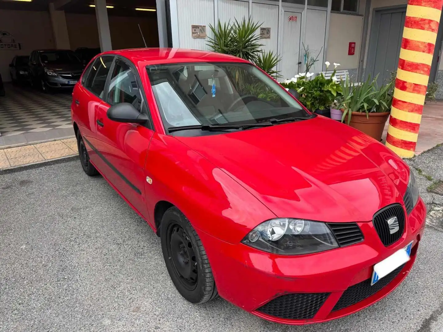 SEAT Ibiza 1.2 12V 70CV 5p. Free Rosso - 2