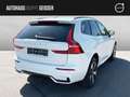 Volvo XC60 T6 AWD Recharge Plus Dark AHK ACC BLIS SD Blanc - thumbnail 7