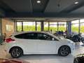 Ford Focus Lim. Titanium|Bi-Xenon|ST-Line|Kamera|PDC| Blanco - thumbnail 8