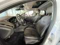Ford Focus Lim. Titanium|Bi-Xenon|ST-Line|Kamera|PDC| Blanco - thumbnail 12