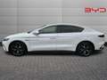 BYD Han Executive Weiß - thumbnail 3