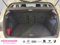 Volkswagen Golf VIII 1.5 TSI Goal LED+ACC+VC+App-connect+LM+SHZ Weiß - thumbnail 20