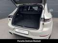Porsche Cayenne InnoDrive Soft-Close BOSE Luftfederung Beige - thumbnail 11