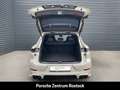 Porsche Cayenne InnoDrive Soft-Close BOSE Luftfederung Beige - thumbnail 10