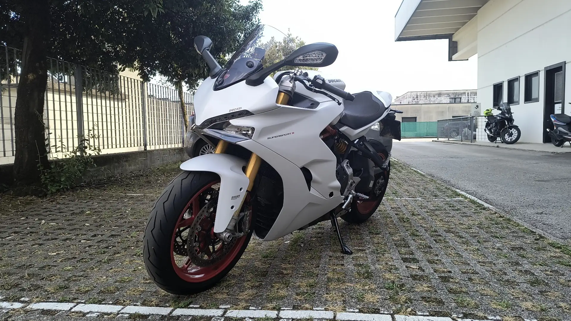 Ducati SuperSport S Bianco - 1