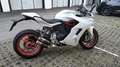 Ducati SuperSport S Bianco - thumbnail 4