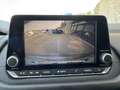 Nissan Qashqai 1.3 Mhev Business 2wd 140cv Gris - thumbnail 38
