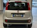 Fiat Panda 1.2 Easy 69cv E6 Vettura in arrivo Argento - thumbnail 4