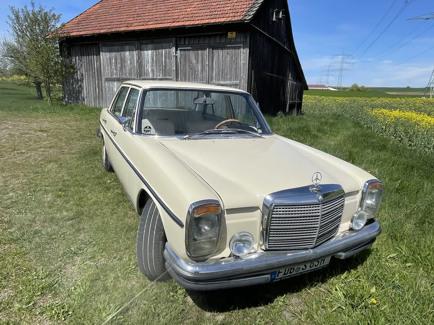 Mercedes-Benz W 114/115 Strich-Acht - 2