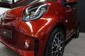 smart forTwo Cabrio EQ Prime Rojo - thumbnail 16