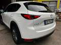 Mazda CX-5 CX-5 2.2 Exceed 2wd 150cv PERFETTA EURO 6B Bianco - thumbnail 7