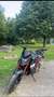 Honda Hornet - thumbnail 4