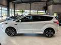 Ford Kuga 2.0 ST-Line AHK Navi Teilleder Xenon 18" Blanc - thumbnail 19