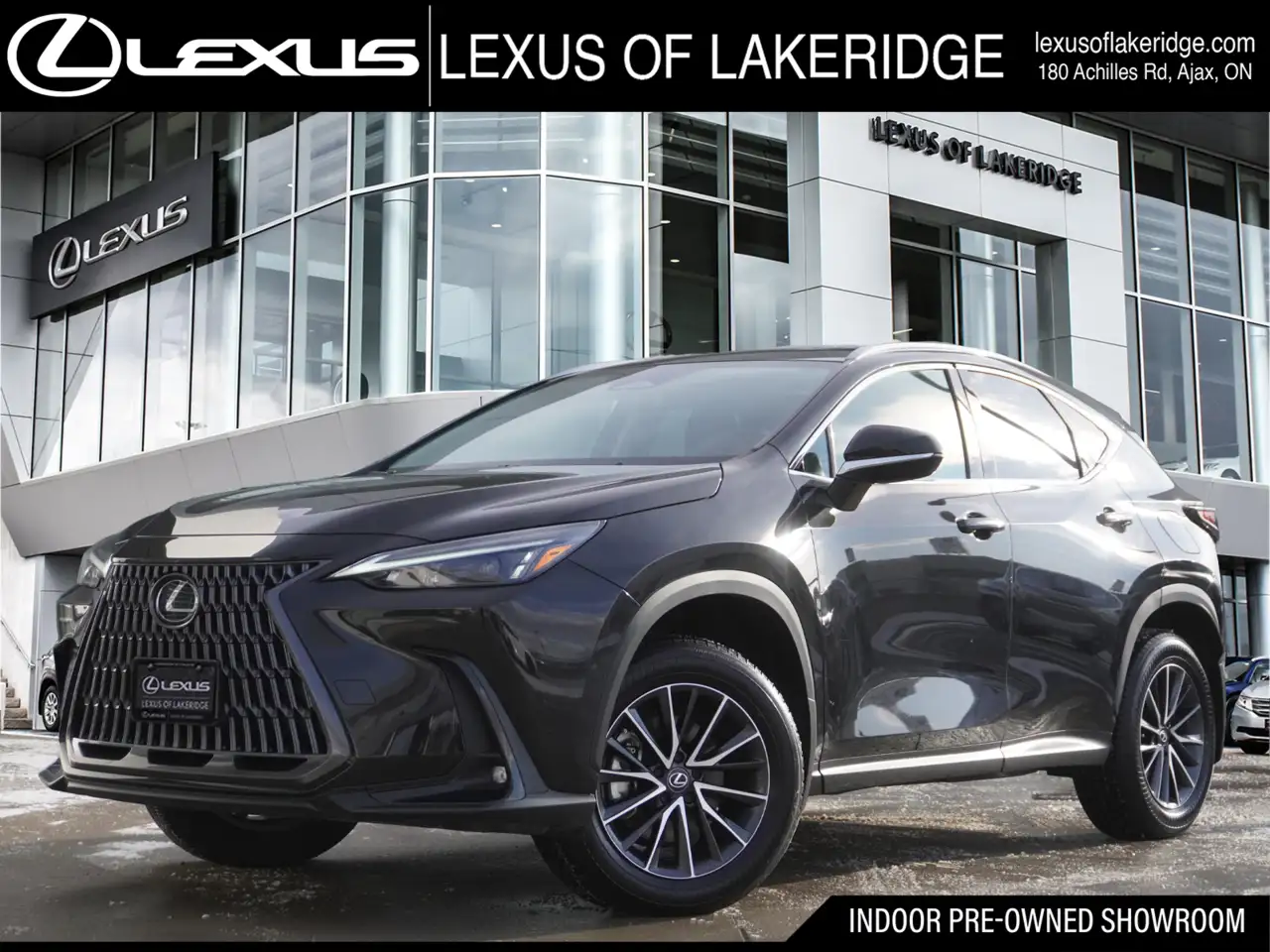 2025 Lexus NX