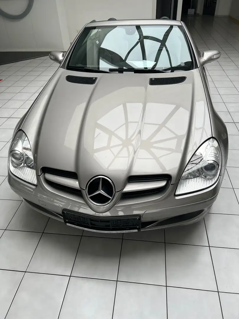 Mercedes-Benz SLK 200 SLK 200 Kompressor (171.442) Gris - 1
