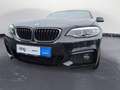 BMW 230 i Cabrio M Sport Navi Klima PDC Leder Harman Schwarz - thumbnail 13