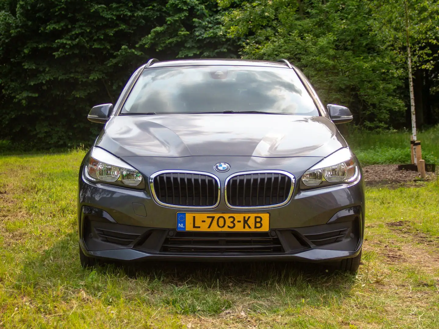 BMW 225 xe Šedá - 1