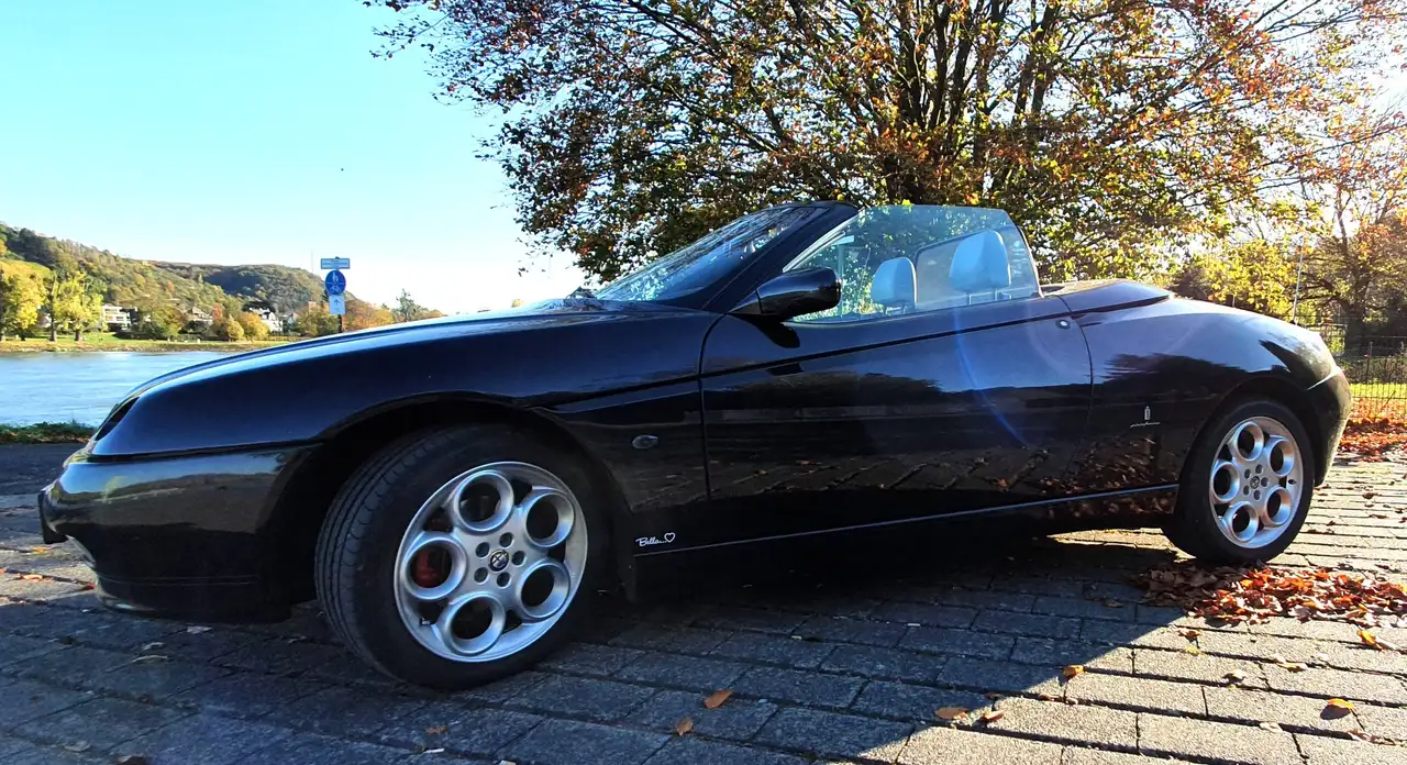 Alfa Romeo Spider
