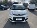 Fiat Panda 1.0 FireFly 70cv S&S Hybrid Bianco - thumbnail 6