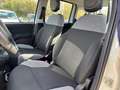 Fiat Panda 1.0 FireFly 70cv S&S Hybrid Bianco - thumbnail 9