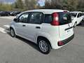 Fiat Panda 1.0 FireFly 70cv S&S Hybrid Bianco - thumbnail 3