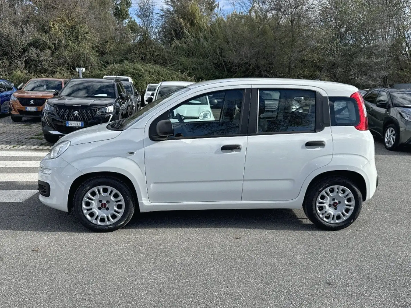Fiat Panda 1.0 FireFly 70cv S&S Hybrid Bianco - 2