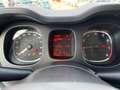 Fiat Panda 1.0 FireFly 70cv S&S Hybrid Bianco - thumbnail 12