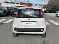 Fiat Panda 1.0 FireFly 70cv S&S Hybrid Bianco - thumbnail 4