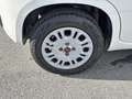 Fiat Panda 1.0 FireFly 70cv S&S Hybrid Bianco - thumbnail 7