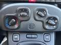 Fiat Panda 1.0 FireFly 70cv S&S Hybrid Bianco - thumbnail 15