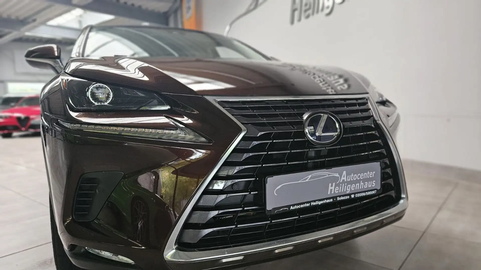 Lexus NX 300 h  1.Hand  Leder Kamera Panorama Navi Braun - 1