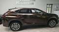 Lexus NX 300 h  1.Hand  Leder Kamera Panorama Navi Braun - thumbnail 3