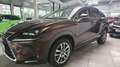 Lexus NX 300 h  1.Hand  Leder Kamera Panorama Navi Braun - thumbnail 9