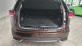 Lexus NX 300 h  1.Hand  Leder Kamera Panorama Navi Braun - thumbnail 6