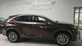 Lexus NX 300 h  1.Hand  Leder Kamera Panorama Navi Braun - thumbnail 2