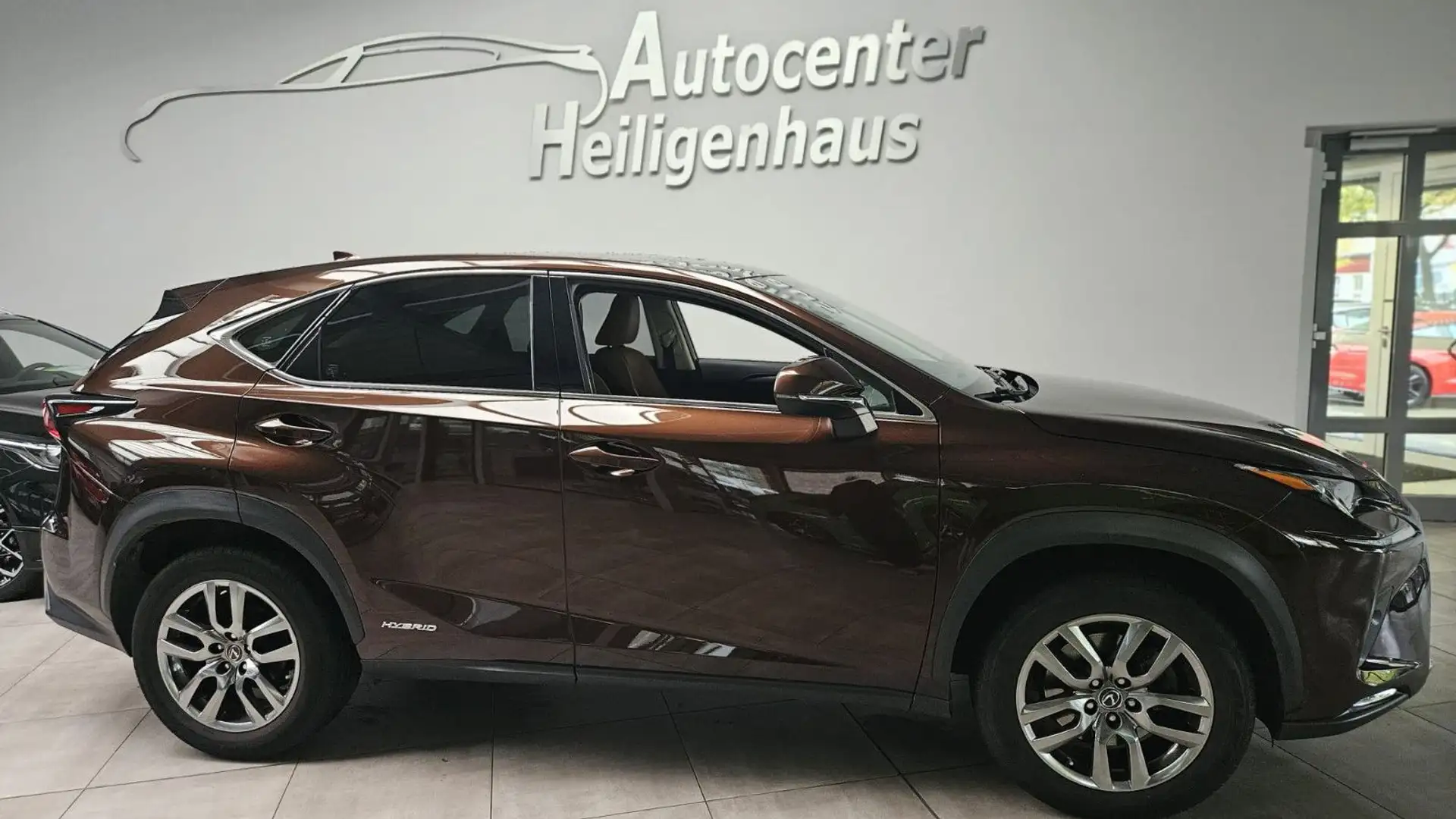 Lexus NX 300 h  1.Hand  Leder Kamera Panorama Navi Braun - 2