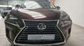 Lexus NX 300 h  1.Hand  Leder Kamera Panorama Navi Braun - thumbnail 10