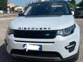 Land Rover Discovery Sport Discovery Sport 2.0 td4 HSE awd 180cv auto Bianco - thumbnail 5