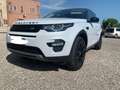 Land Rover Discovery Sport Discovery Sport 2.0 td4 HSE awd 180cv auto Bianco - thumbnail 8