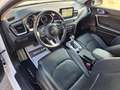 Kia Ceed SW / cee'd SW 1,6 CRDi // PLATIN / AHK / PANO / JBL / KAMERA // Weiß - thumbnail 12