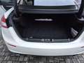 Maserati Ghibli Ghibli 3.0 V6 ds 275cv auto Weiß - thumbnail 13