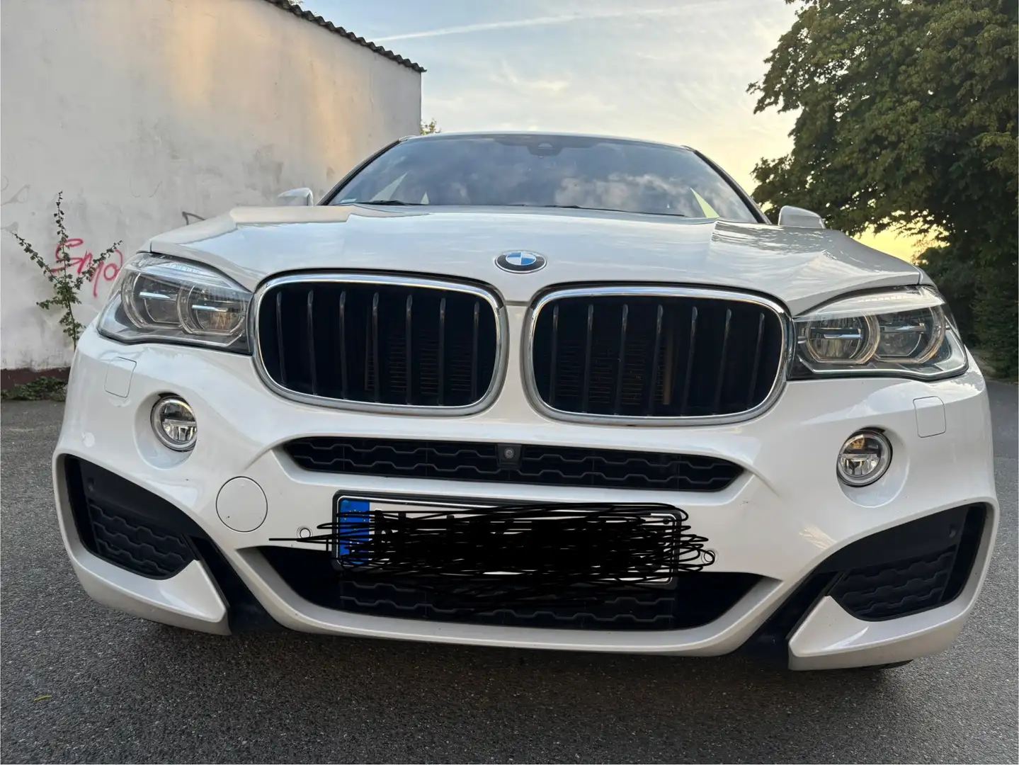 BMW X6 X6 xDrive30d Weiß - 1