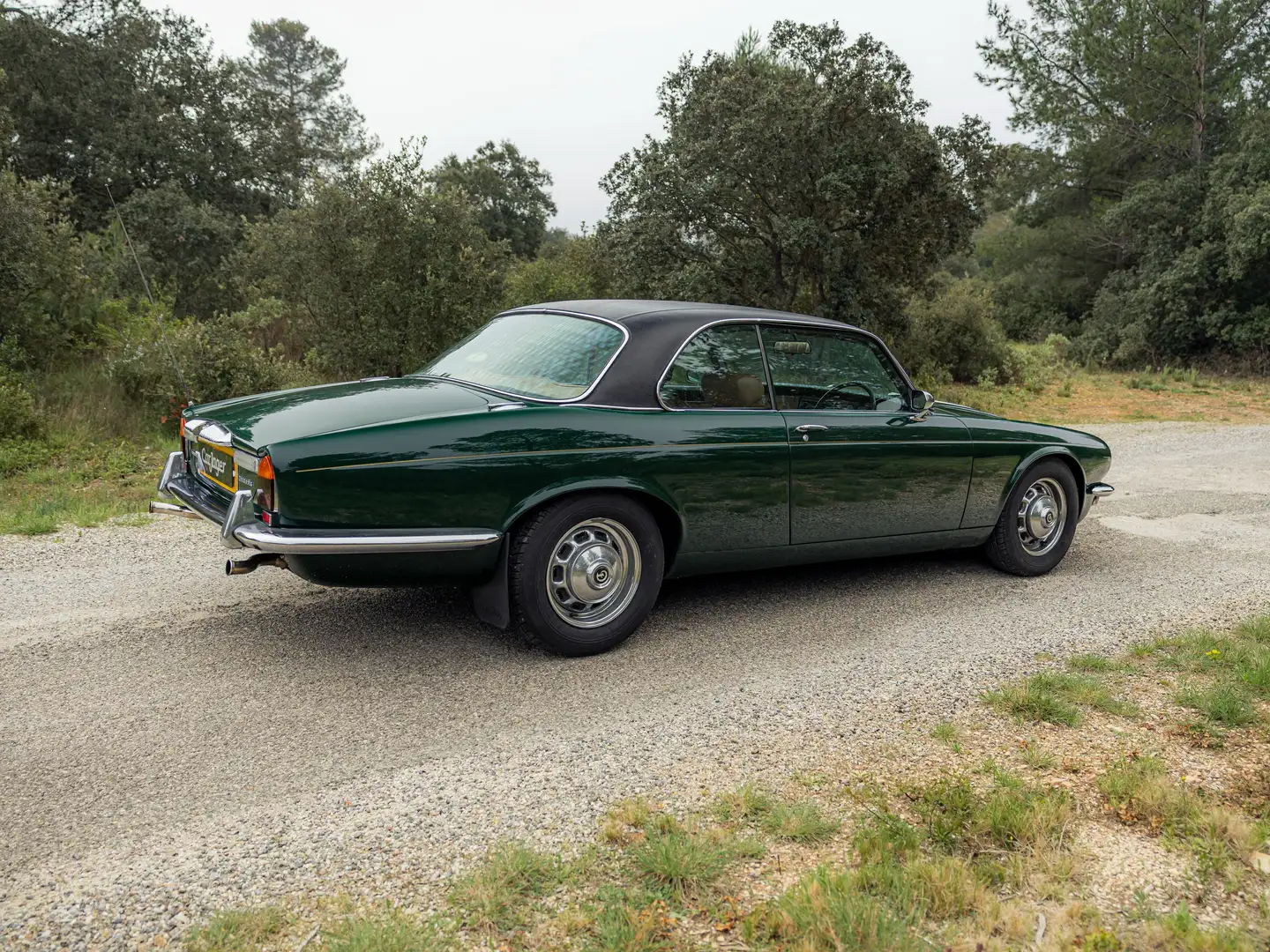 Daimler Double Six Coupé RHD Vert - 2