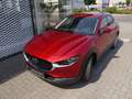 Mazda CX-30 SKYACTIV-G 2.0 M-Hybrid SELECTION GUTER ZUSTAND Rot - thumbnail 14