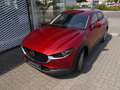 Mazda CX-30 SKYACTIV-G 2.0 M-Hybrid SELECTION GUTER ZUSTAND Rot - thumbnail 15